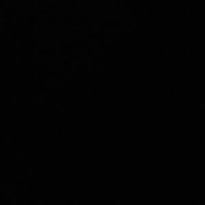 Meet your Posher, Nico